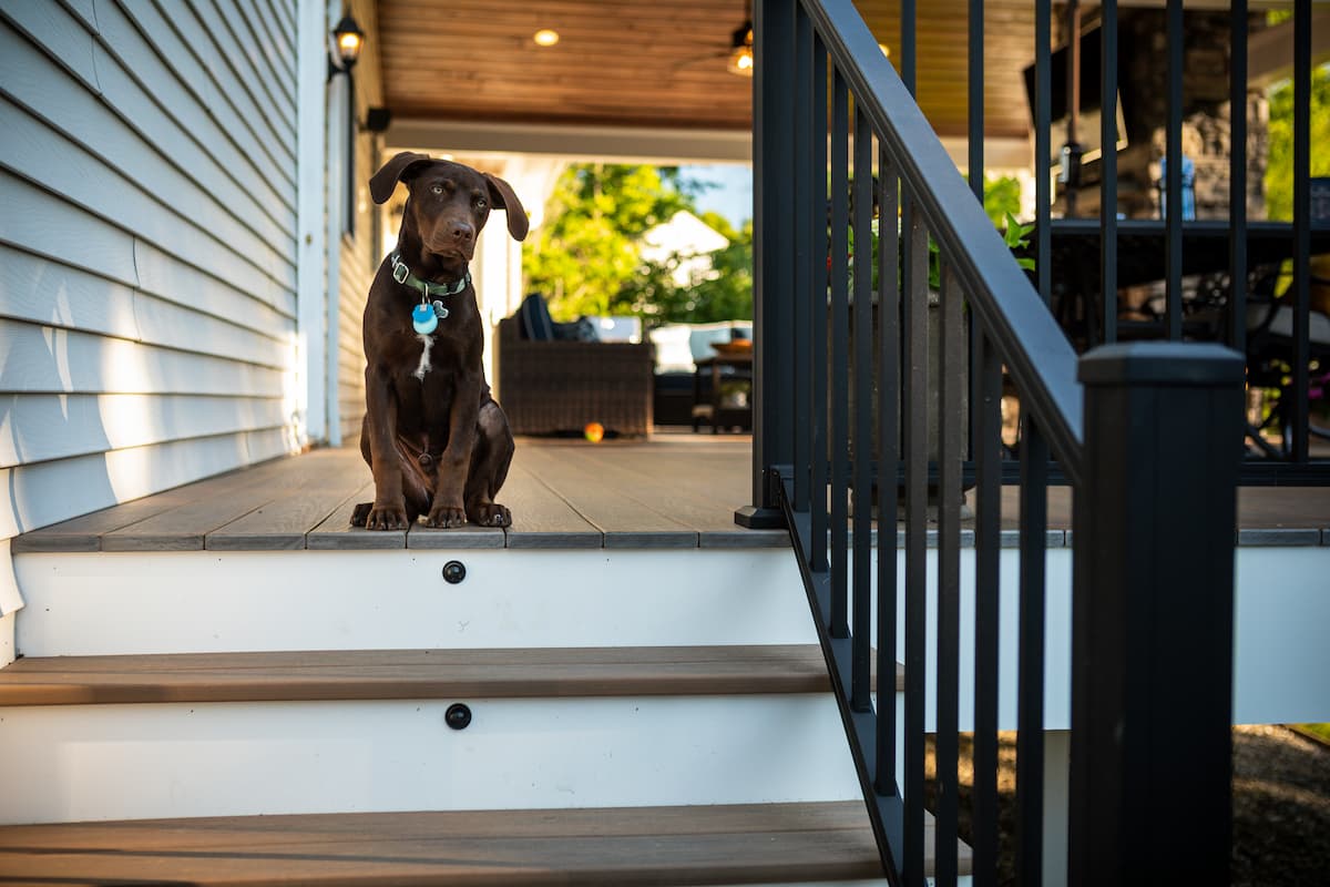 A dog sits on a deck featuring Key-Link American Series Aluminum Railing